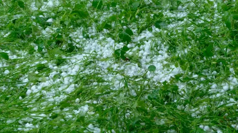 Granizo en un campo. ARCHIVO