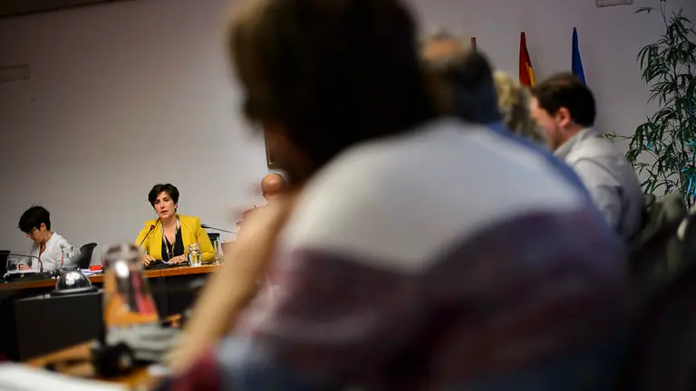 María Solana en comisión. PABLO LASAOSA 02