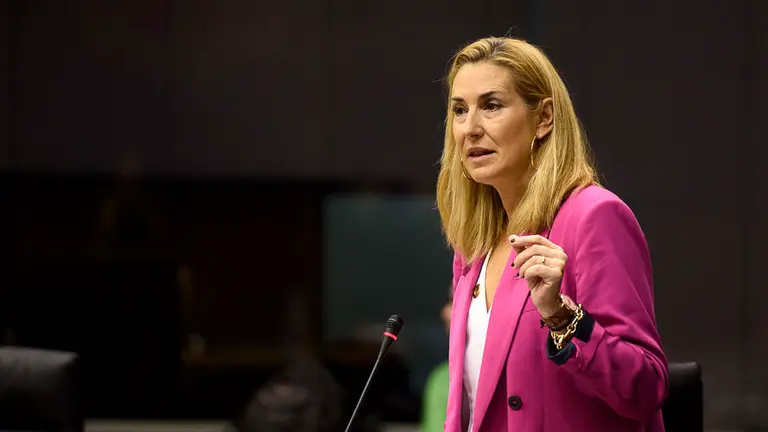Ana Beltrán habla en el Parlamento de Navarra. PABLO LASAOSA