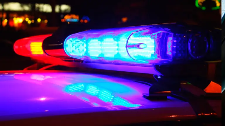 Imagen de las luces de un coche de policía