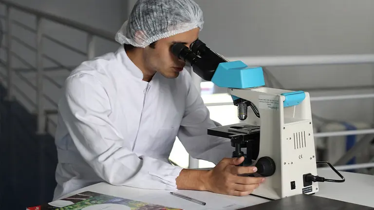 Científicos navarros descubren nueva enfermedad relacionada con el sobrecrecimiento