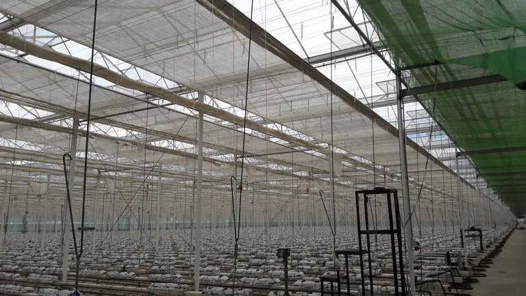 Planasa compra un invernadero de cristal de 10 hect&aacute;reas en Milagro