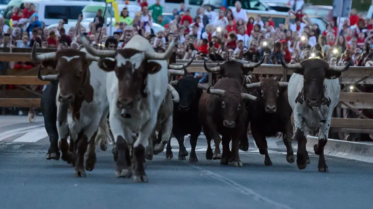 Ambiente en el encierrillo con toros de Jandilla para el dia 11 de julio de San Fermñin 2017 . PABLO LASAOSA 15