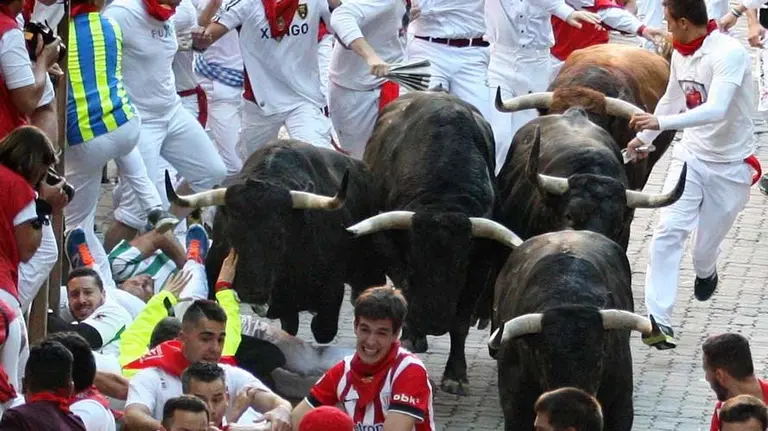 Los toros de la ganadería madrileña de Victoriano del Río a su paso por la calle Estafeta durante el sexto encierro de los Sanfermines 2017. EFE (13)