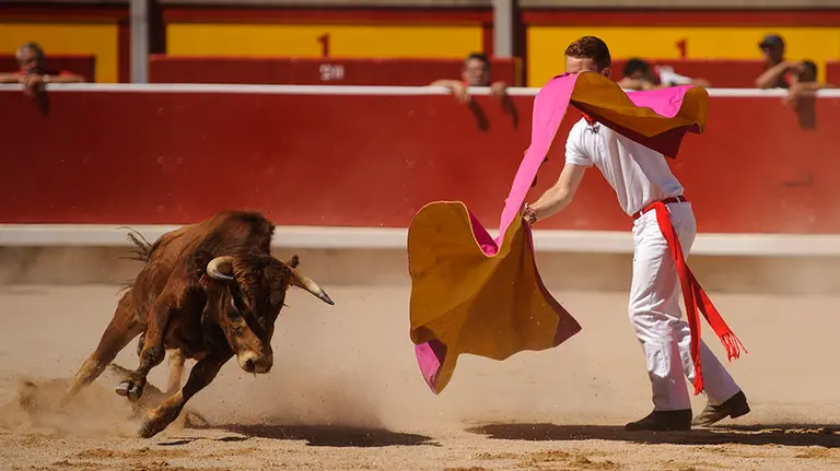 Tentadero en la Plaza de toros de Pamplona durante los sanfermines de 2017. MIGUEL OSÉS_16