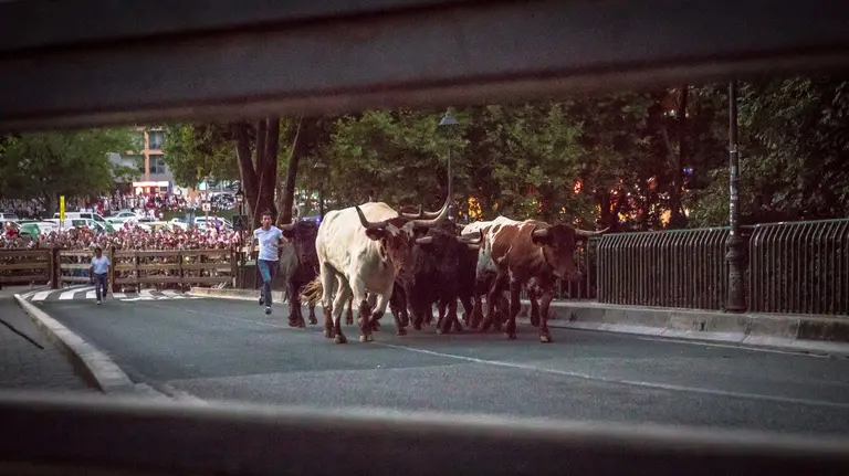Encierrillo de los toros de Núñez del Cuvillo para ser conducidos desde los corrales del Gas hasta Santo Domingo MAITE H MATEO (2)