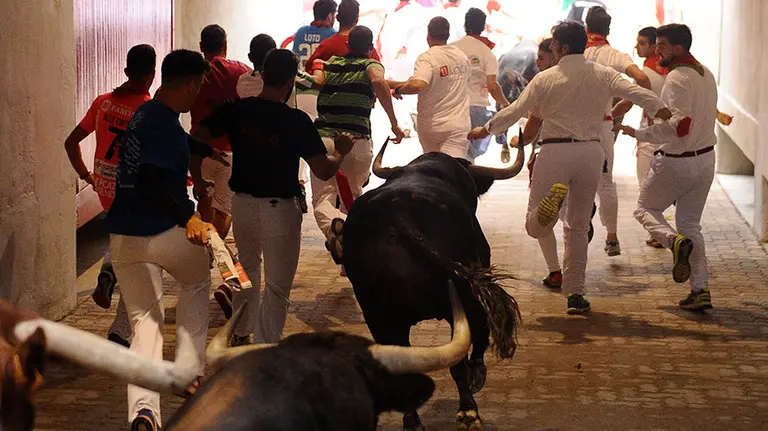 Séptimo encierro de los sanfermines de 2017 con la ganadería de Nuñez del Cuvillo en el tramo de la bajada al callejón. MIGUEL OSÉS (8)