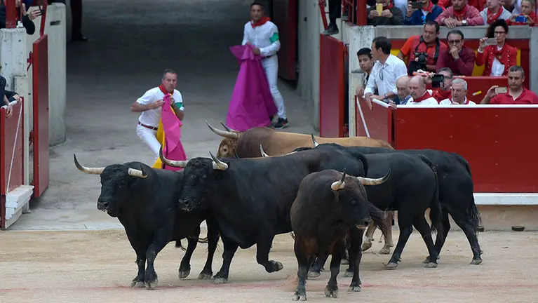 Séptimo encierro de las fiestas de San Fermín 2017 con toros de Núñez del Cubillo. PABLO LASAOSA 11
