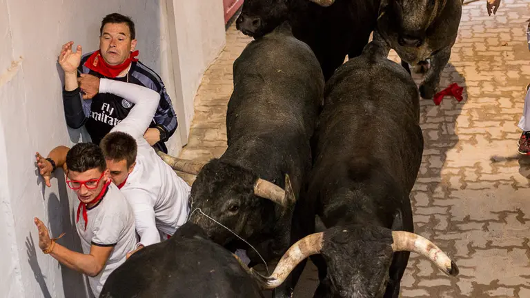 Octavo y último encierro de San Fermín 2017 con toros de Miura (04). IÑIGO ALZUGARAY