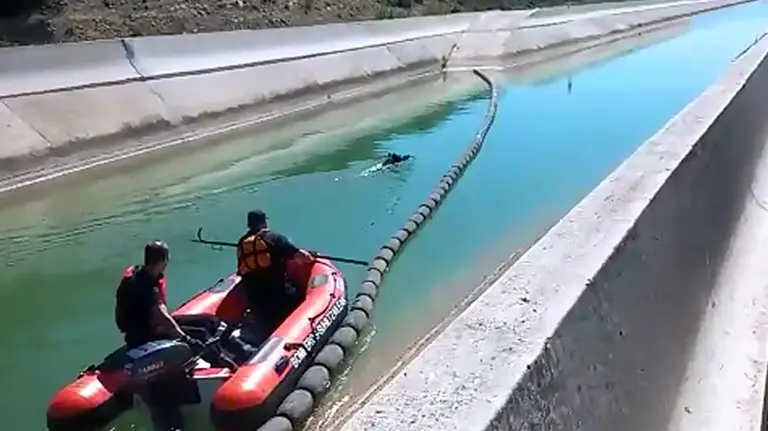 Dos bomberos guián a un jabalí que corría el riesgo de morir ahogado en el Canal de Navarra hasta una rampa para salvarlo.