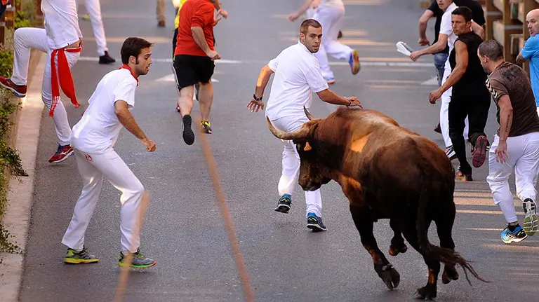 Cuarto encierro de las fiestas de Tudela con la ganadería navarra Merino de Marcilla. MIGUEL OSÉS (17)