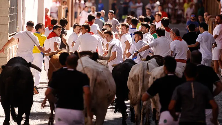 Cuarto encierro de las fiestas de San Adrián con las reses de la ganadería aragonesa de Iván López. MIGUEL OSÉS (13)