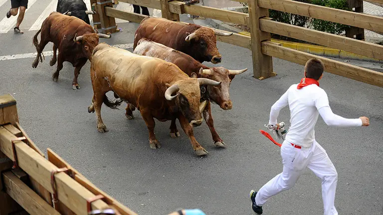 Último encierro de las fiestas de Tudela con las reses de la ganadería portuguesa de Rosa Rodriguez. MIGUEL OSÉS (5)