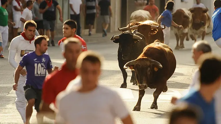 Segundo encierro de las fiestas de Lodosa con las reses de Hermanos Merino. MIGUEL OSÉS (2)