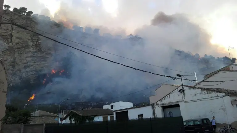 Un importante despliegue de medios terrestres y aéreos combaten el incendio de Falces que ha amenazado a una zona de viviendas de la localidad (2)
