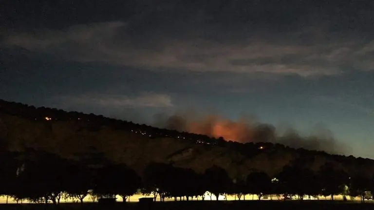 Un importante despliegue de medios terrestres y aéreos combaten el incendio de Falces que ha amenazado a una zona de viviendas de la localidad (3)