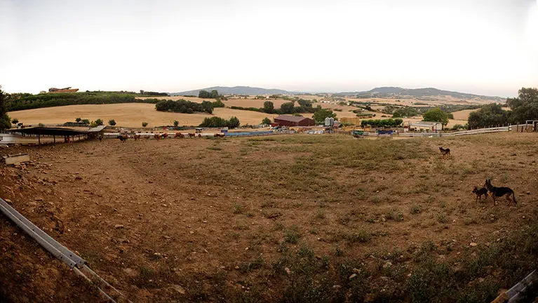 1- Vista de una de las parcelas de la finca de la Ganadería. MIGUEL OSÉS