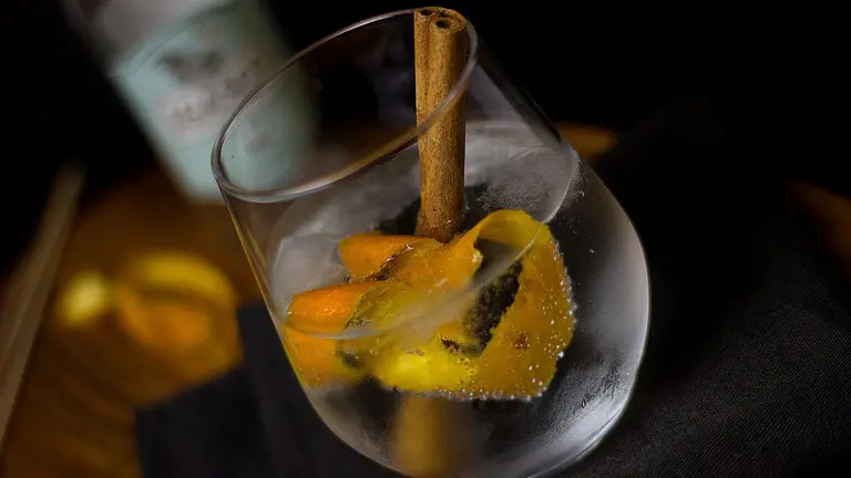 Imagen de un GinTonic