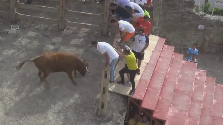 Una imagen del segundo encierro del Estrecho de Arguedas