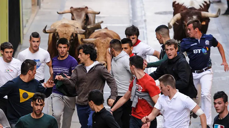 Último encierro de novillos en Estella a cargo de la ganadería Macua. MIGUEL OSÉS_5