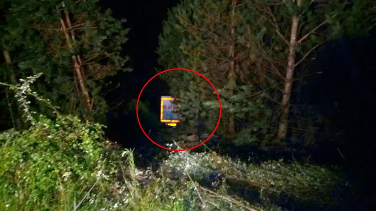 El camión que ha caído por un terraplén a la altura de las ventas de Urriza, en la A15. GUARDIA CIVIL