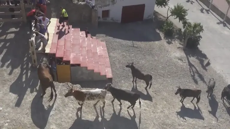 Cuarto estrecho de Arguedas