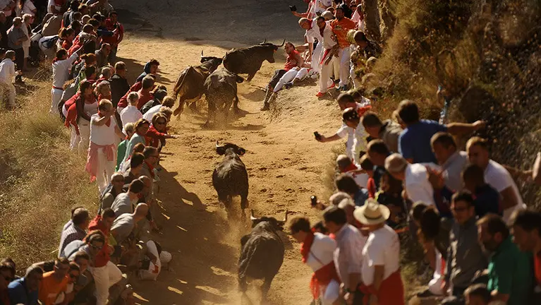 Primer encierro del Pillón en Falces de 2017. MIGUEL OSÉS (9)
