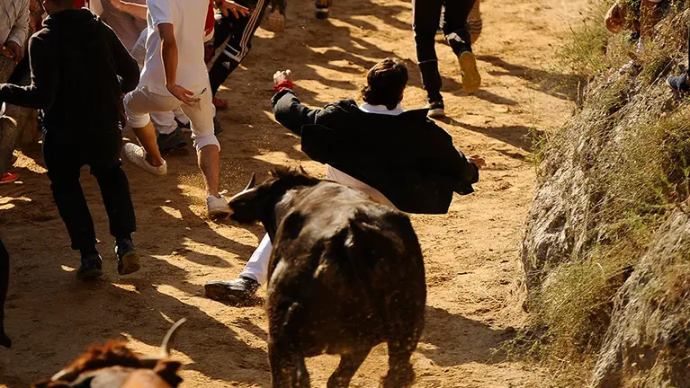 Segundo encierro del Pilón en Falces de 2017. MIGUEL OSÉS (3)