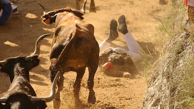 Segundo encierro del Pilón en Falces de 2017. MIGUEL OSÉS (11)