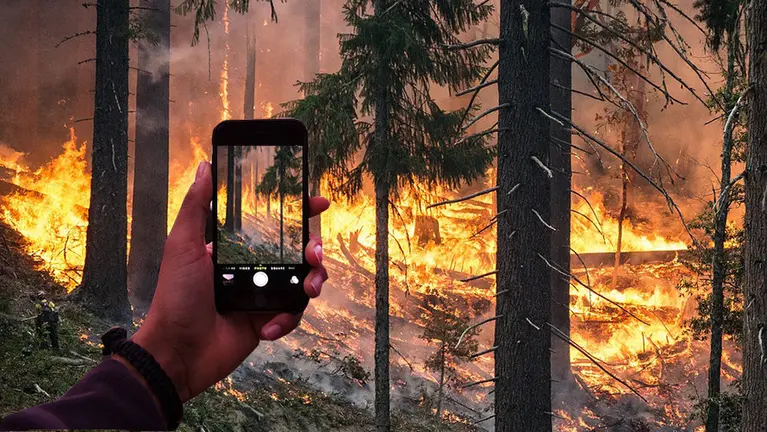 Tres menores causaron el incendio de Jaén al querer grabar una hoguera con sus móviles 