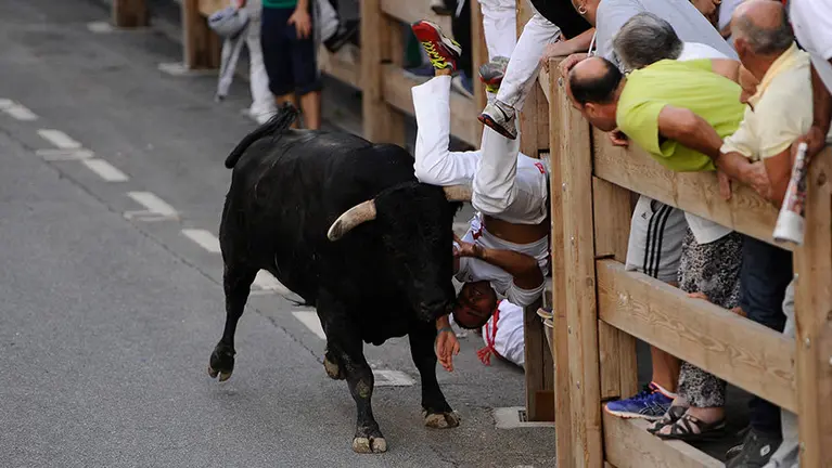 Primer encierro de las fiestas de Tafalla 2017 a cargo de la ganadería de Marques de Albaserrada. MIGUEL OSÉS (6)
