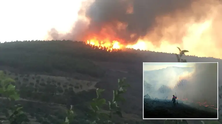 Incendio en Arróniz