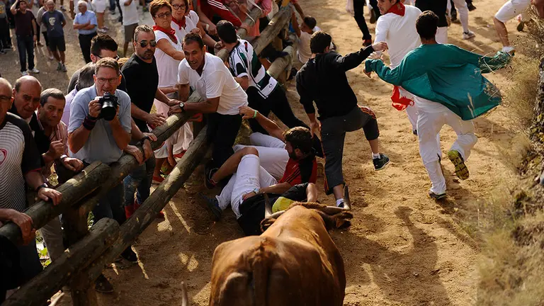 Segundo encierro del Pilón de Falces 2017. MIGUEL OSÉS (3)