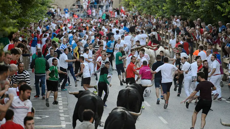 Primer encierro de las fiestas de Tafalla 2017. PABLO LASAOSA 05