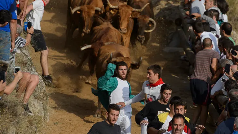 Tercer encierro del Pilón 2017 de Falces. PABLO LASAOSA 03