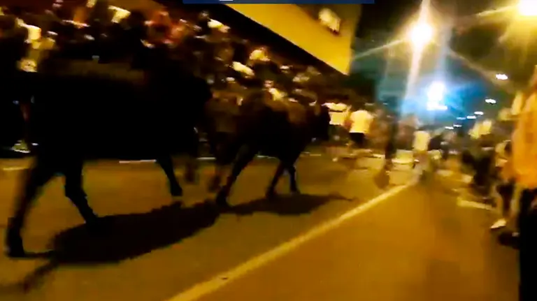 Encierro nocturno de Burlada