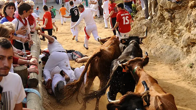 Cuarto encierro del Pilón de Falces. MIGUEL OSÉS (7)