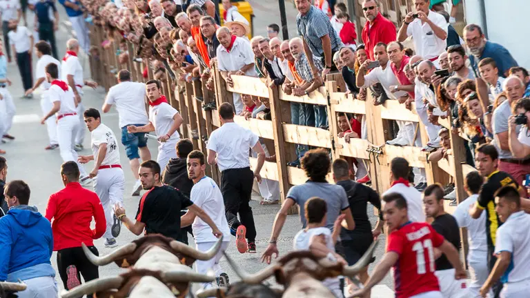 Segundo encierro de Tafalla 2017  (9). IÑIGO ALZUGARAY