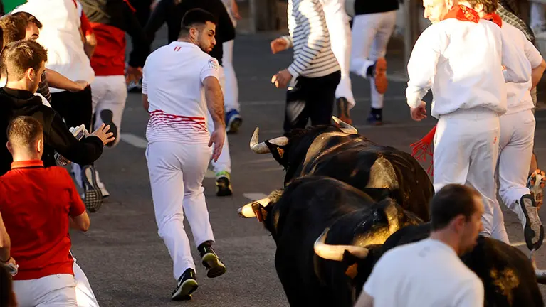 Tercero encierro de Tafalla 2017 con las reses  de la ganadería Macua. MIGUEL OSÉS (8)