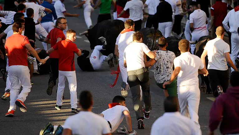 Tercero encierro de Tafalla 2017 con las reses  de la ganadería Macua. MIGUEL OSÉS (10)