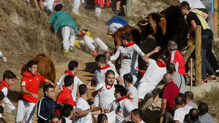 Quinto encierro del pilón 2017 de las fiestas de Falces. PABLO LASAOSA 02