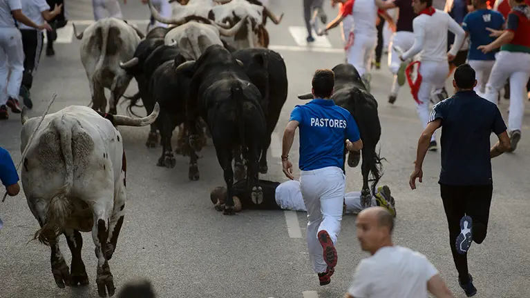 Accidentado cuarto encierro de las fiestas de Tafalla 2017. PABLO LASAOSA_3