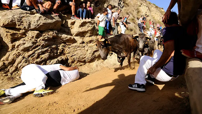 Séptimo encierro del Pilón en Falces de 2017. MIGUEL OSÉS (4)