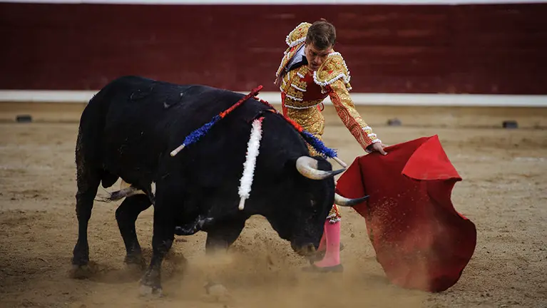 Segunda corrida de la Feria de Tafalla 2017 con ganaderia de Couto de Fornilhos para los diestros Sanchez Vara, Javier Cortes y Esau Fernández. MIGUEL OSÉS_19