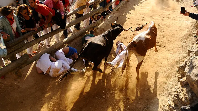 Último encierro del Pilón de Falces 2017. MIGUEL OSÉS (6)