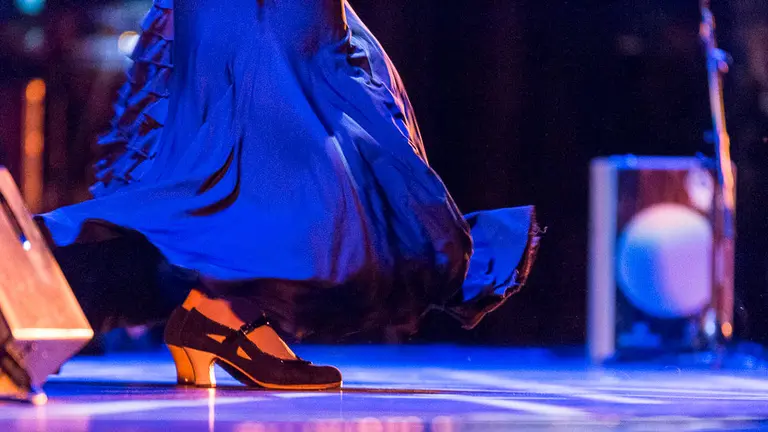 Actuación del compositor y guitarrista Juan Manuel Cañizares dentro de la IV Edición del Flamenco on Fire que se celebra en Pamplona (17). IÑIGO ALZUGARAY