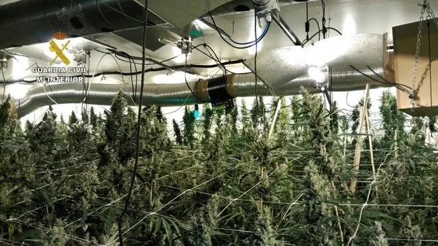 El sofisticado laboratorio de droga desmantelado en Ibiza por la Guardia Civil.