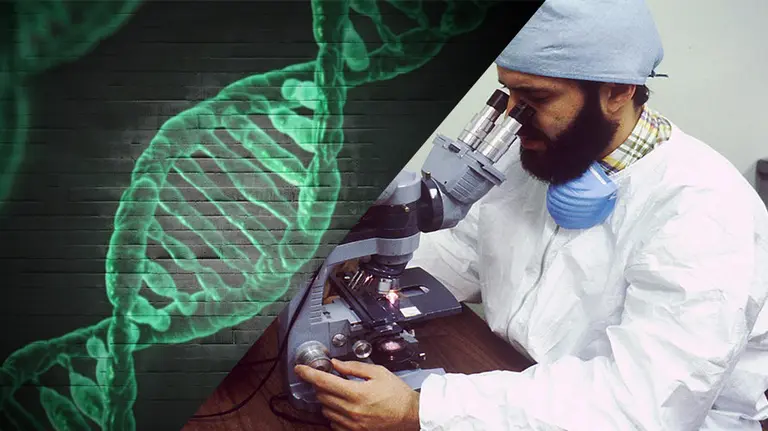 Imagen de unos investigadores