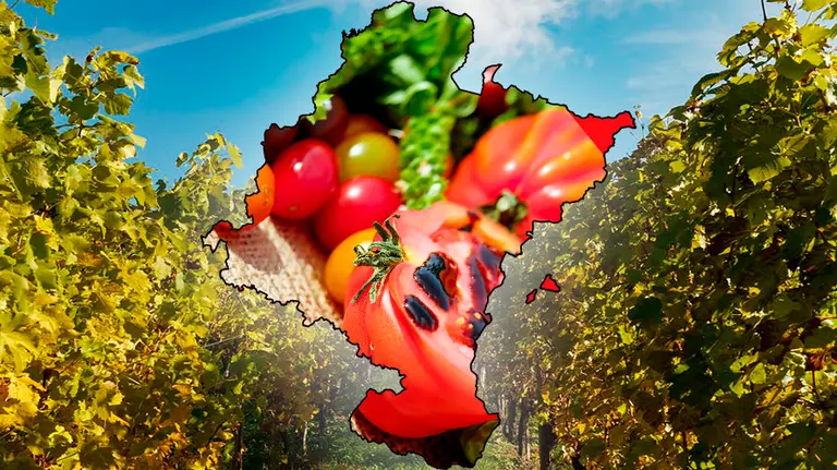 Navarra homenajea su mejor gastronomía