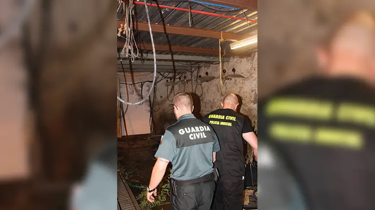 La vivienda donde han incautado las plantas de marihuana